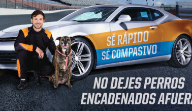 La fórmula ganadora de Daniel Suárez: Siempre cuidar a los animales y nunca encadenar a los perros