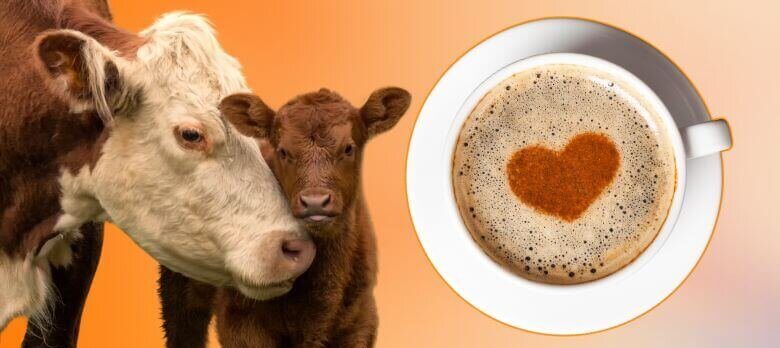 ¡GRAN victoria! Dunkin’ promueve la compasión al eliminar su recargo por leche vegana