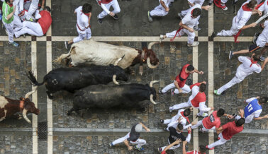 Toros atormentados y apuñalados hasta la muerte en Pamplona: Actúa ahora