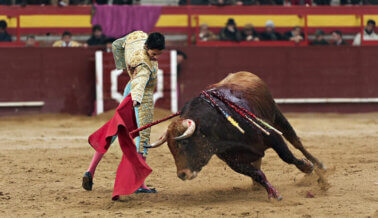 Estos activistas saltaron dentro del ruedo en una plaza de toros en Francia (Video)