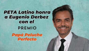 Un corazón compasivo: Eugenio Derbez recibe premio de PETA Latino en el Día del Padre
