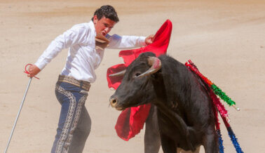 Dos toreros hospitalizados hasta ahora por las novilladas de la Plaza de Toros de 2024