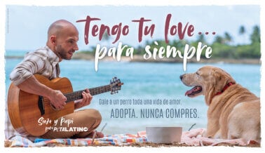 ¡Dales un hogar lleno de amor por toda la vida! Sie7e hace un dulce llamado a la adopción en un nuevo video para PETA Latino