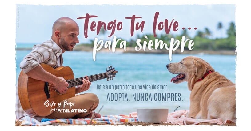 ¡Dales un hogar lleno de amor por toda la vida! Sie7e hace un dulce llamado a la adopción en un nuevo video para PETA Latino