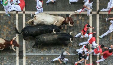 La Semana de Los Encierros de Toros de Pamplona Deja Docenas de Toros Muertos y al Menos 29 Humanos Heridos