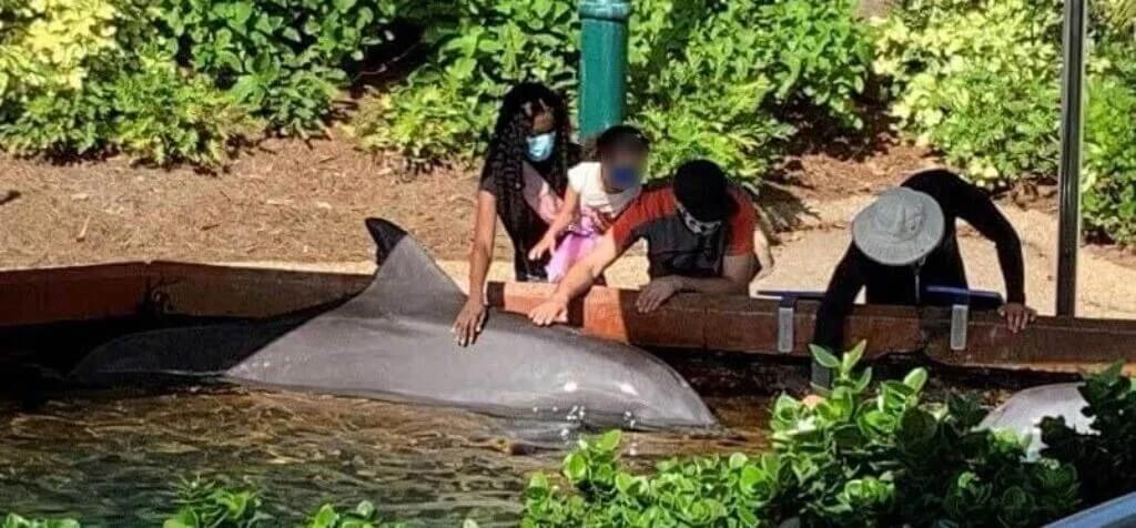 SeaWorld