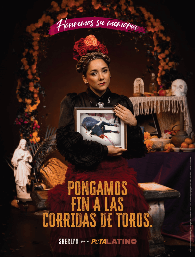 Sherlyn lamenta víctimas de corridas de toros en nuevo video de PETA Latino  para Día de muertos - Prensa - PETA Latino