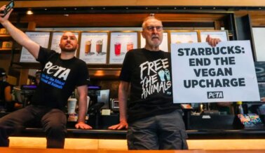 ¡Gran triunfo de PETA! Ahora puedes disfrutar de cafecito libre de culpa sin costo extra, en Starbucks