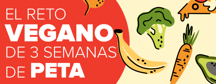 ¿Haciendo Cambios? Prueba Algo Nuevo con el Reto Vegano de 3 Semanas de PETA